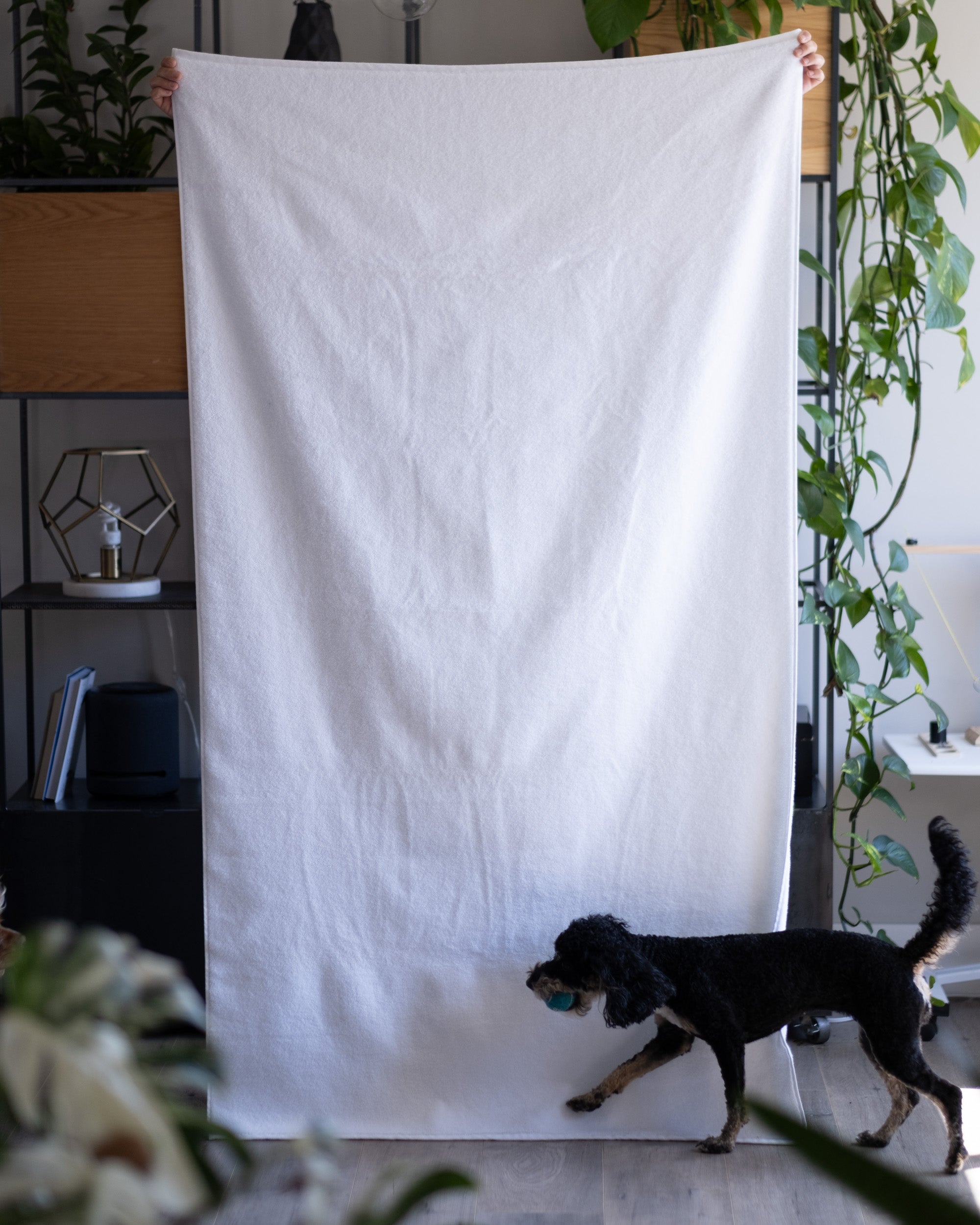 Luxe Bath Towels in White