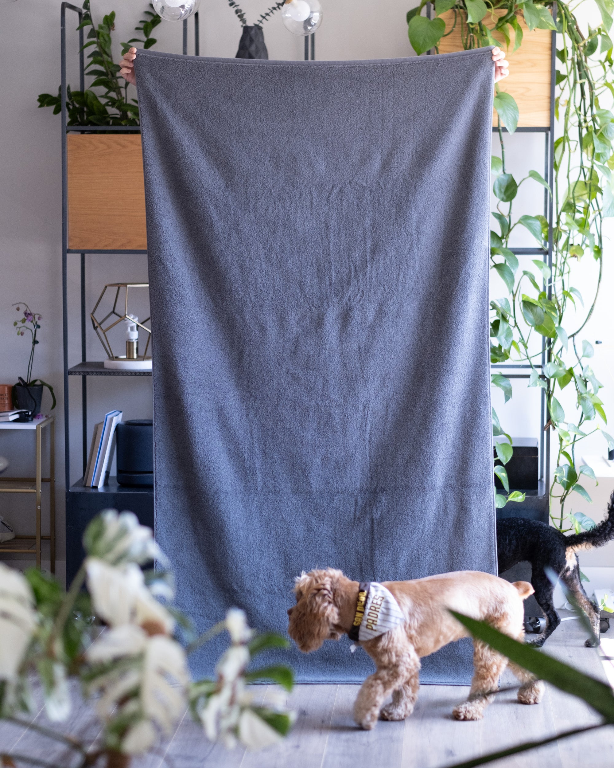 Luxe Bath Towels in Charcoal